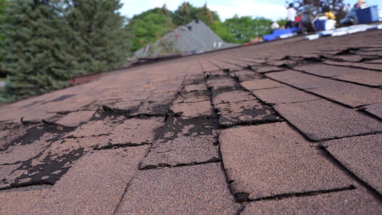 Best Roof Leak Repair  in Inglenook, CT